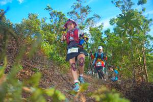 BIB: 2385
                            <button type="button" onclick="openModal(21843006)" class="btn btn-primary btn-sm float-right btn-popup" data-toggle="modal" data-target=".modal-high-quality">
                        <i class="fas fa-shopping-cart"></i> Add to Cart
                    </button>
                                            <button type="button" onclick="isThisMe(21843006, true)" class="btn btn-success btn-sm float-right btn-popup btn-isme hidden" data-toggle="tooltip" data-placement="bottom" title="นี่คือรูปของคุณใช่ไหม คลิกที่นี่เพื่อเอาเข้าอัลบั้ม">
                        <i class="fas fa-plus"></i> Add to album
                    </button>
                    <button type="button" onclick="isThisMe(21843006, false)" class="btn btn-warning btn-sm float-right btn-popup btn-isnotme hidden">
                        <i class="fas fa-ban"></i> Remove from album
                    </button>